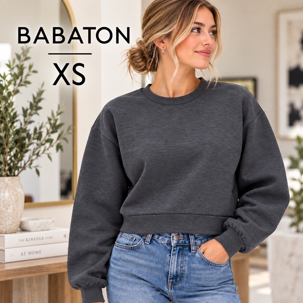 The Group Babaton Smooth Plush Origin Sweatshirt XS Grey Cropped Boxy Pullover